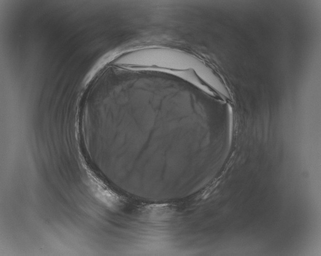 X0000080710054200701121828