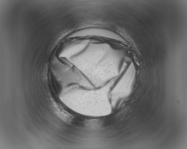 X0000080710058200701121828