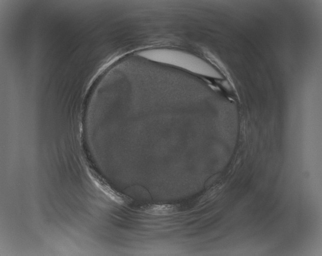 X0000080710059200701121828