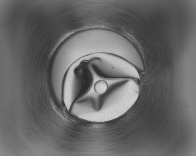 X0000080710060200701121828