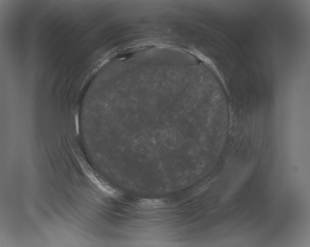 X0000080710061200701121828