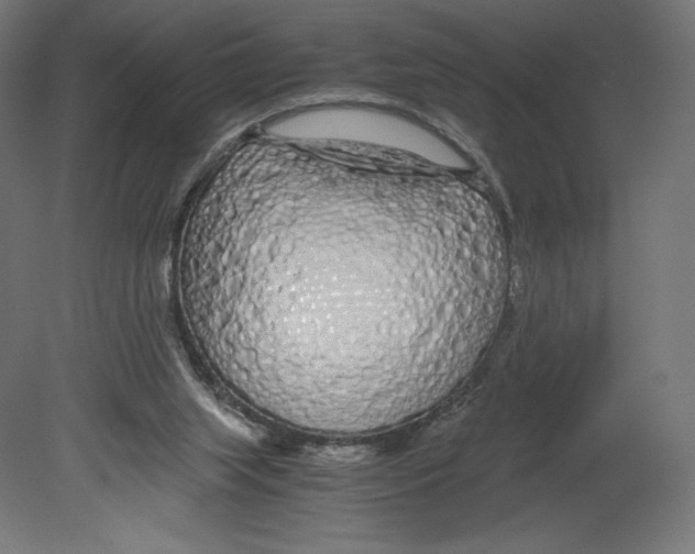 X0000080710063200701121828