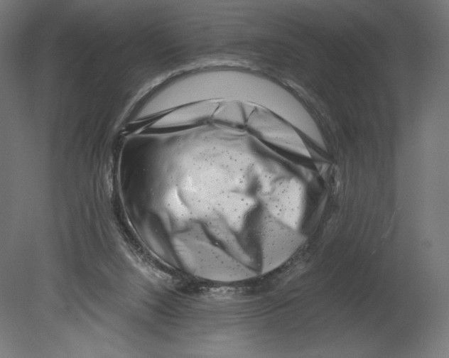 X0000080710064200701121828