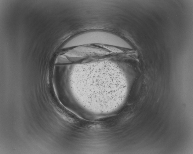 X0000080710068200701121828