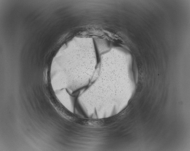 X0000080710070200701121828