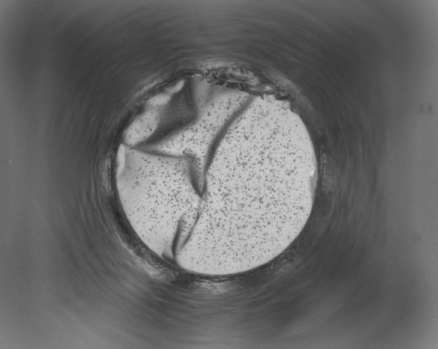 X0000080710071200701121828