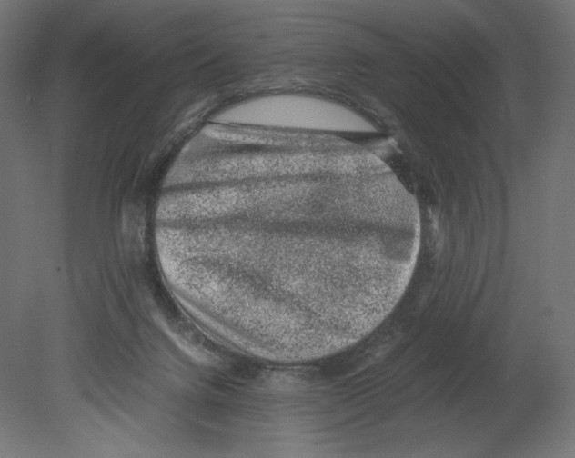 X0000080710072200701121828