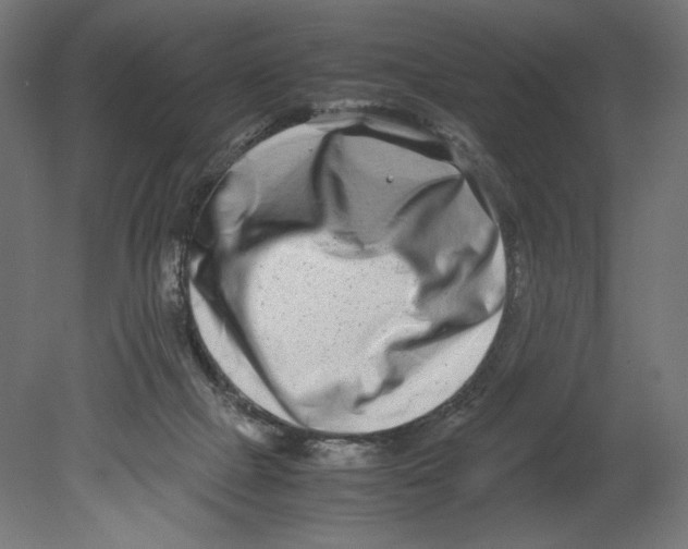 X0000080710073200701121828