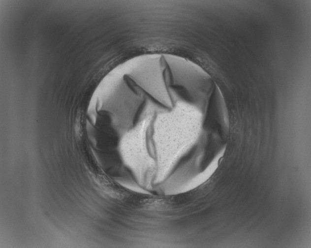 X0000080710074200701121828