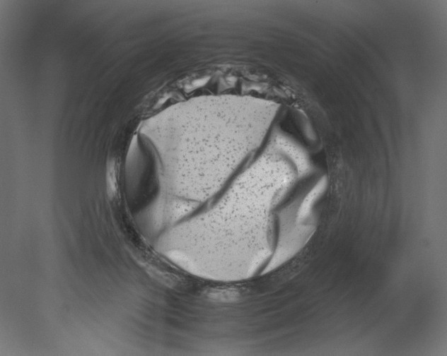 X0000080710075200701121828