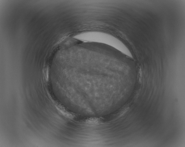 X0000080710076200701121828