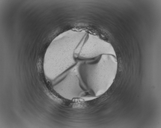 X0000080710077200701121828