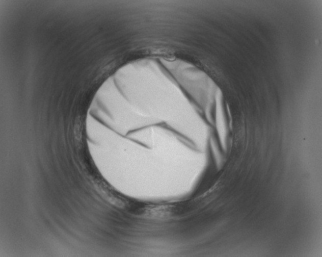 X0000080710078200701121828