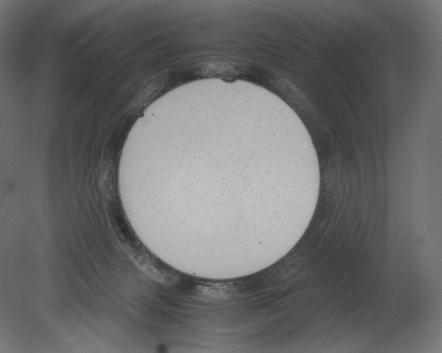 X0000080710079200701121828