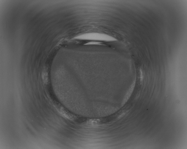 X0000080710080200701121828