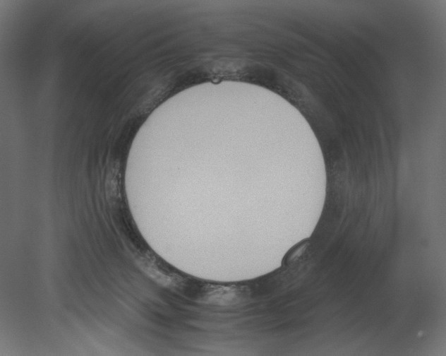 X0000080710083200701121828