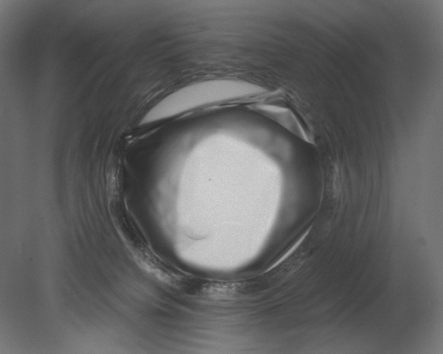 X0000080710084200701121828