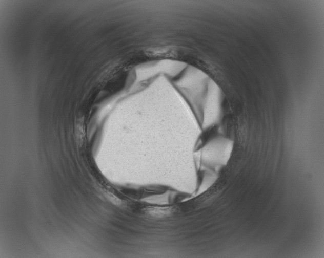 X0000080710085200701121828