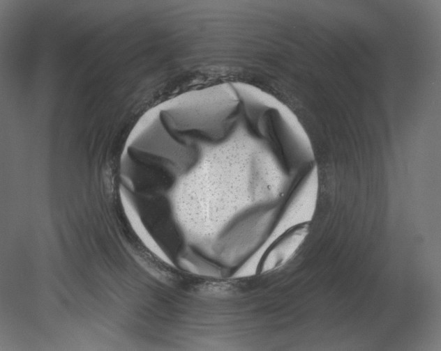 X0000080710086200701121829