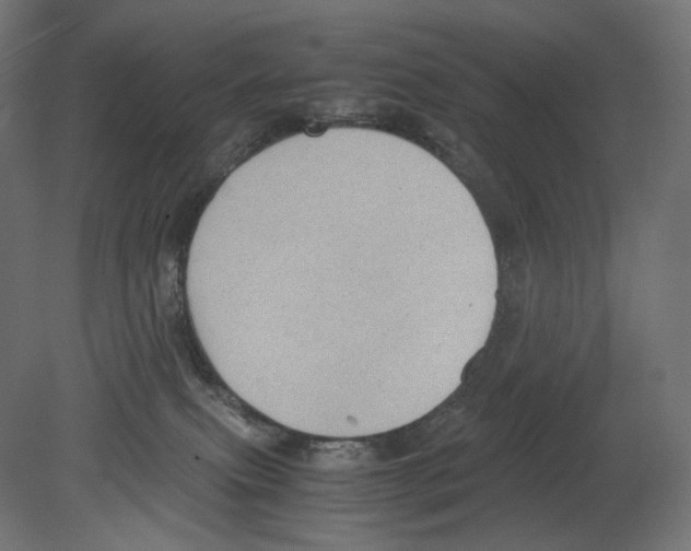 X0000080710087200701121829