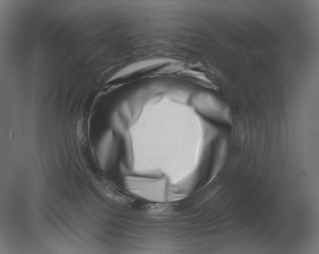 X0000080710088200701121829