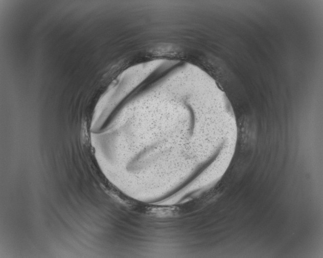 X0000080710089200701121829