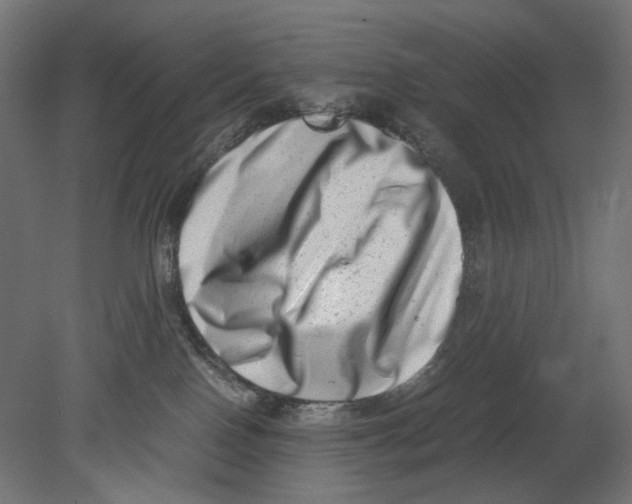 X0000080710090200701121829