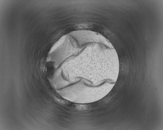 X0000080710091200701121829