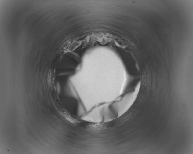 X0000080710092200701121829