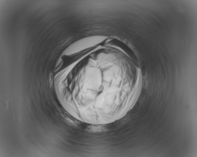 X0000080710093200701121829