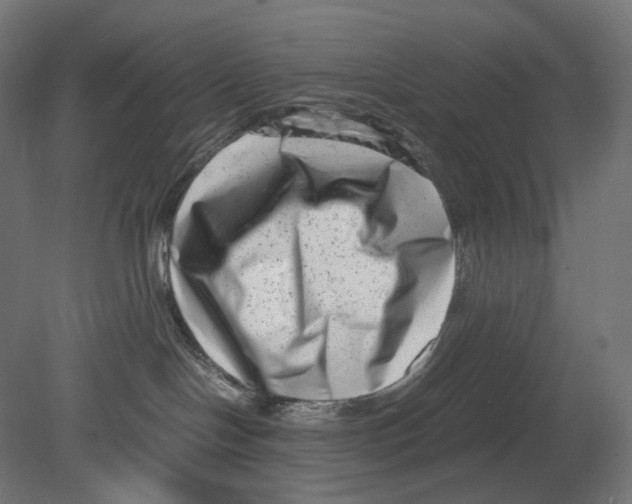 X0000080710094200701121829