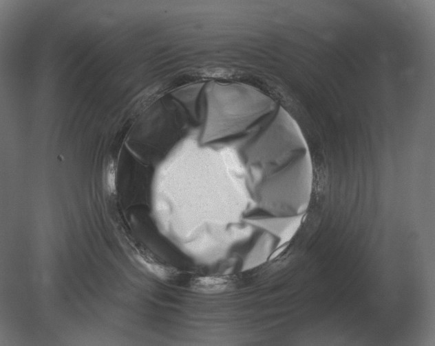 X0000080710095200701121829