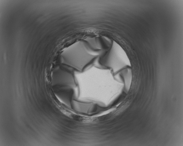 X0000080710096200701121829