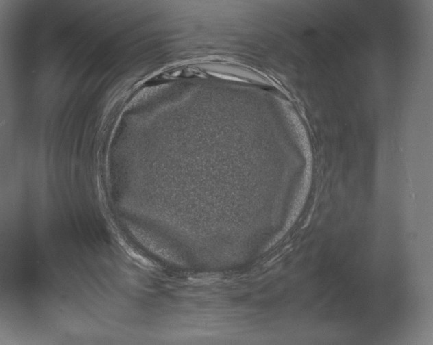 X0000080710097200701121828