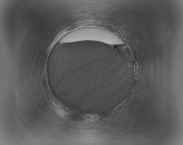 X0000080710099200701121828