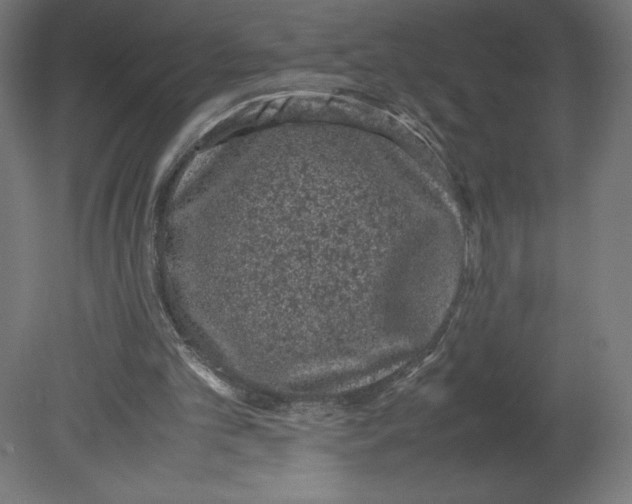 X0000080710101200701121828