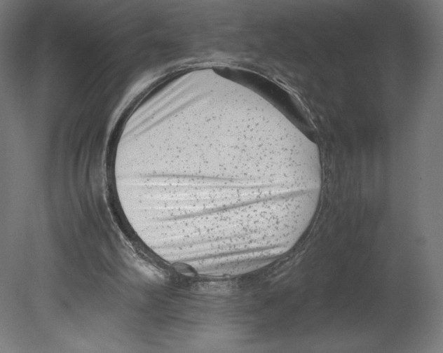 X0000080710102200701121828