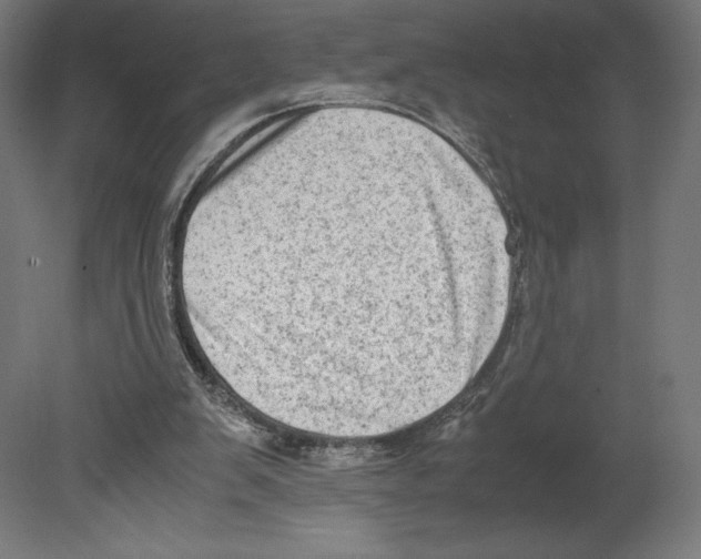 X0000080710103200701121828