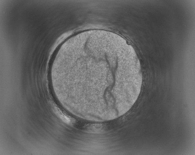 X0000080710104200701121828