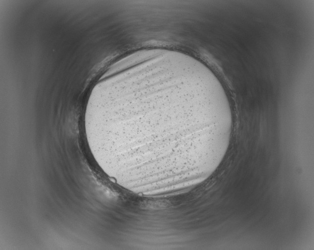 X0000080710106200701121828