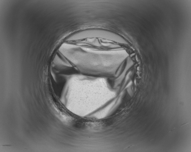 X0000080710107200701121828