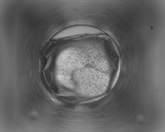 X0000080710109200701121828