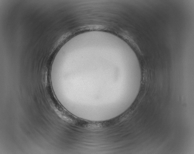 X0000080710110200701121828