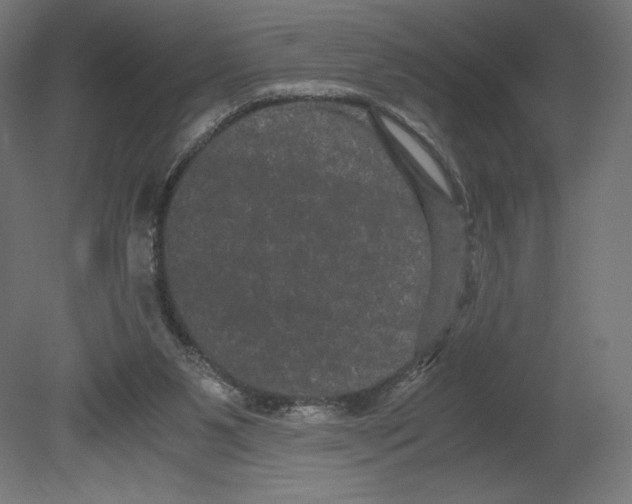 X0000080710111200701121828