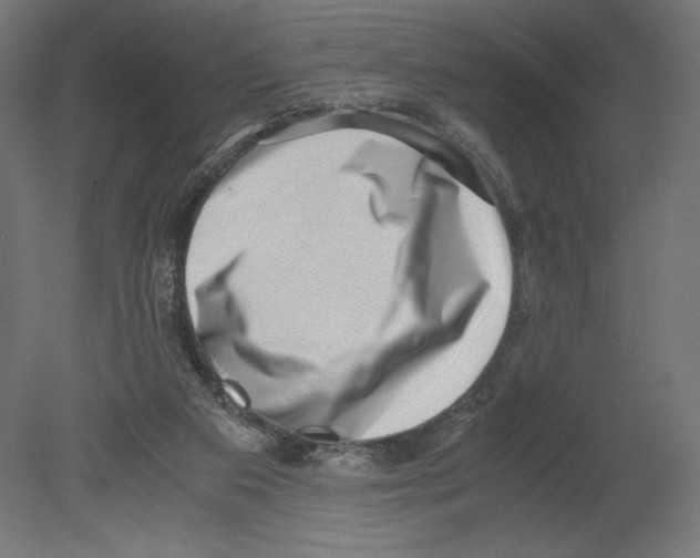 X0000080710113200701121828