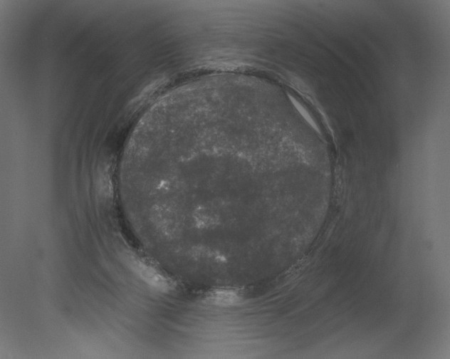 X0000080710114200701121828