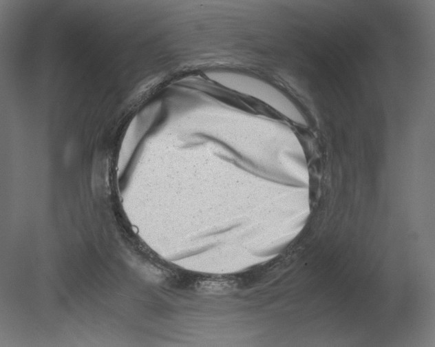 X0000080710115200701121828