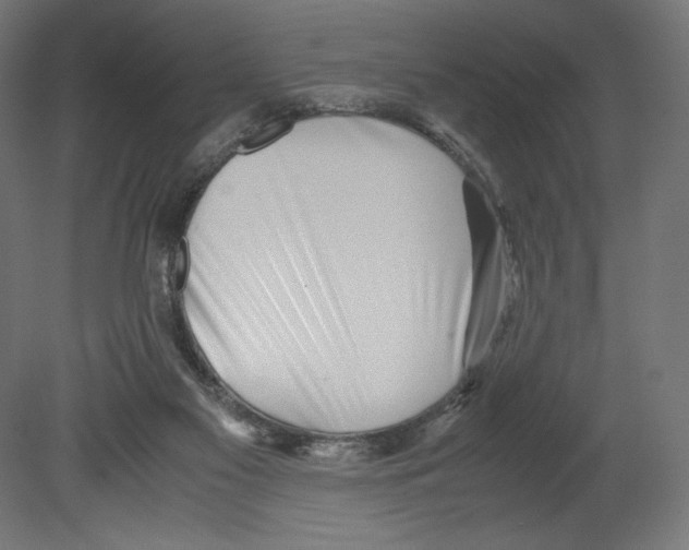 X0000080710117200701121828