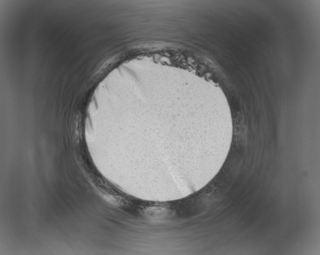 X0000080710119200701121827