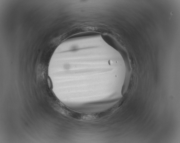 X0000080710125200701121827